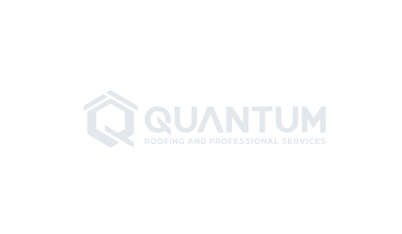Quantum Roofing and Professional Services